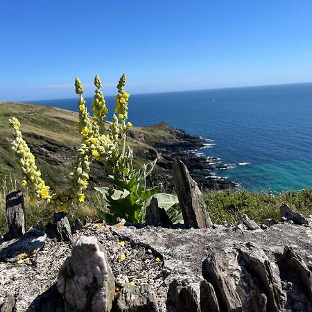 Pilchards Cottage Noss Mayo Bagian luar foto