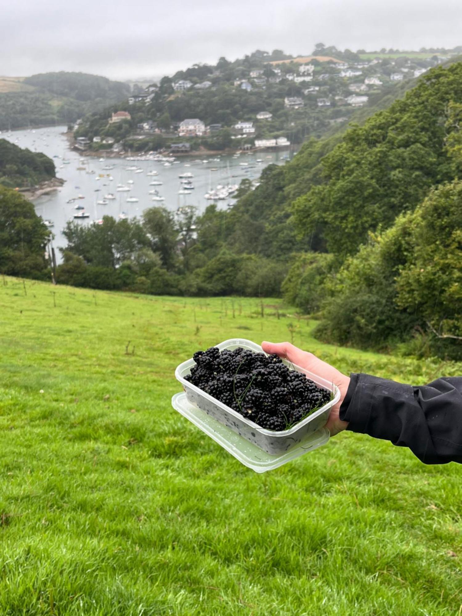 Pilchards Cottage Noss Mayo Bagian luar foto