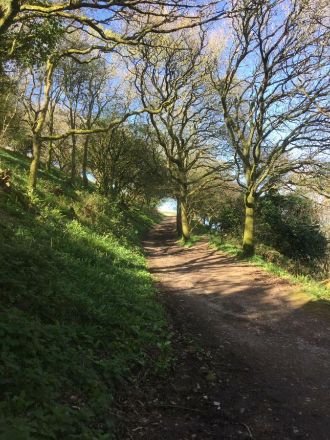 Pilchards Cottage Noss Mayo Bagian luar foto